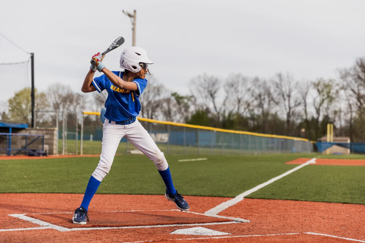 Base Ball Pro World -Base Ball Pro World GUARDIAN BASEBALL STINGER BATS U